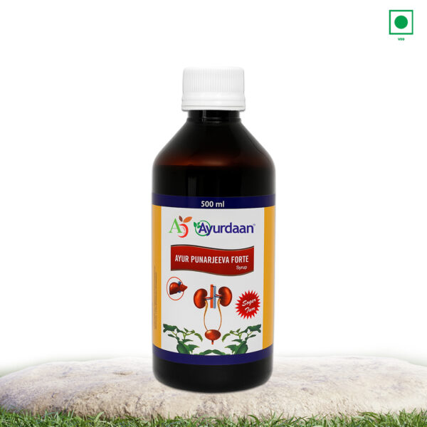 Ayur Punarjeeva Forte – Revitalize Your Kidney & Liver Health - Image 2